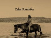 Könyvajánló: Zaka Dominika – A szabadság íze…