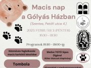 Macis nap a Gólyás házban…
