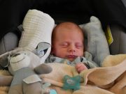 Medox érkezett elsőként Szentesre…