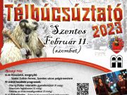 Szeretném bemutatni a Télbúcsúztatón fellépő LAHS-LINI and her Stepbros nevű zen…