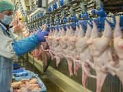 Tulajdonosváltás és jutalmak a Hungeritnél…