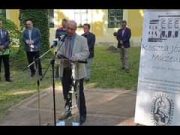 További videókat fedezhetsz fel a Watch funkcióban….