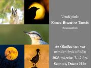 Beszélgetés 2020 Év Ifjú Madárfotósával…