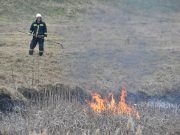 Égett a nádas a felsőpárti tó körül…