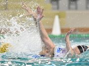 Női csapatunk is az FTC ellen folytatja…