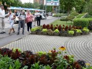 Szentes a Virágzó Közösségek között…