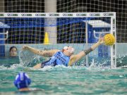 Szeretettel meghívunk minden Kedves Szurkolót 2019. február 2-án szombaton 18:00…