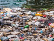 Szokjunk le a műanyagról!…
