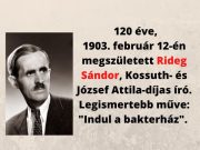 Ugye mindenki ismeri a legnépszerűbb könyvét? Olvasták? A filmet is látták?…