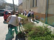 A Gondozási Központ is szépítette Szentest (képek)…