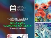 A Tokácsli Galériában látható kiállítás képei, érdemes ellátogatni, március 25-i…