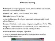 Bábos szakmai nap a Gólyás Házban!…