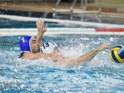 Férfi OB I.: a Vasas otthonába látogatunk…