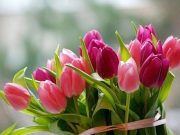 Kérjük, hogy aki a Nőnapi Gálaműsorra regisztrált NE felejtse otthon a nyomtatot…