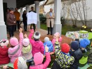 Méhecskehotelt telepítettek a polgárház udvarára…