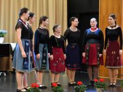 Népzene, hagyományok őrzése, értékein bemutatása, tehetségkutatás…