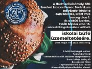 Pályázati felhívás…