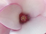 Újra játék Szentes Város Facebook oldalán!!!…