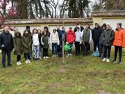 1000 darab új fát ültessünk Szentesen” akció…