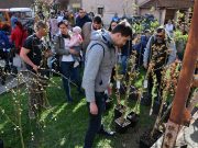 Átadták az új élet-fákat…