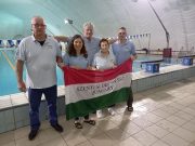 Delfinek a Viharsarokban…