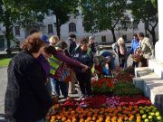 Idén is meghirdeti az önkormányzat a Nagymamák tavaszát…