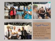 Kedden délelőtt Cégek Piaca a szentesi Ifjúsági Házban! A Pollák minden érdeklőd…