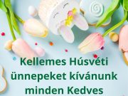 Szentesi Sport- és Üdülőközpont aktualitásai, hírei…