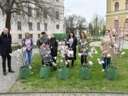 Virágozz, Szentes!…