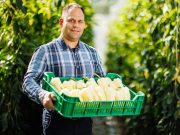 A DélKerTÉSZ-nél minden vezető a termelőkért és a munkatársakért dolgozik…