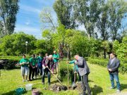 Császárfákat ültettek az üdülőközpontban…