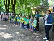 Madarak és Fák Napja a ligetben…