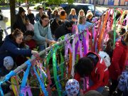 Májusfa Szentesen a Kossuth téren…