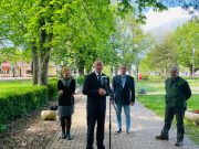 Mentik a gesztenye-és platánfákat a strandon…