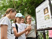 Okostáblák segítik az egykori Koszta-tanya területén az ismeretszerzést…