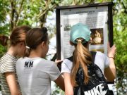 Okostáblákon keresztül fedezhetjük fel a Koszta-hagyatékot…