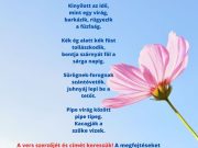 Tavaszi első rejtvényünk! A megfejtéseket emailben (tajekoztatas@vksz.hu) vagy f…