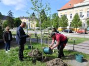 Ültessünk 1000 új fát Szentesen…