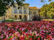 20. Virágszínvonalasabb Szentesért – városszépítő verseny felhívás…