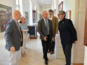 A múzeum együttműködik az MMA-val…