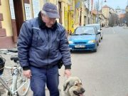 Elkóborolt kutyát találtak meg a polgárőrök…