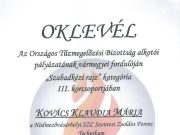 Rajz siker a Zsoldosban…