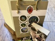 Rejtvényünk megfejtése: Németh László….