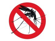 TÁJÉKOZTATÓ FÖLDI SZÚNYOGGYÉRÍTÉSRŐL…