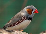 Tisztelt Látogatóink!…