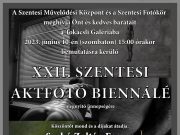 XXII. Szentesi Aktfotó Biennálé…