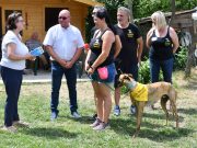 Ahol minden felnőtt, gyerek és kutya mosolygott…