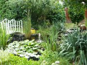 Augusztus 15-ig lehet jelentkezni a városszépítő versenyre…