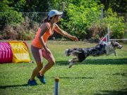 I. Morzsa Kupa Agility Verseny (képek)…