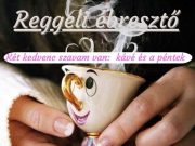 Jó reggelt! Itt a hétvége! Ma még 8-16-ig lehet jönni olvasnivalóért :D…